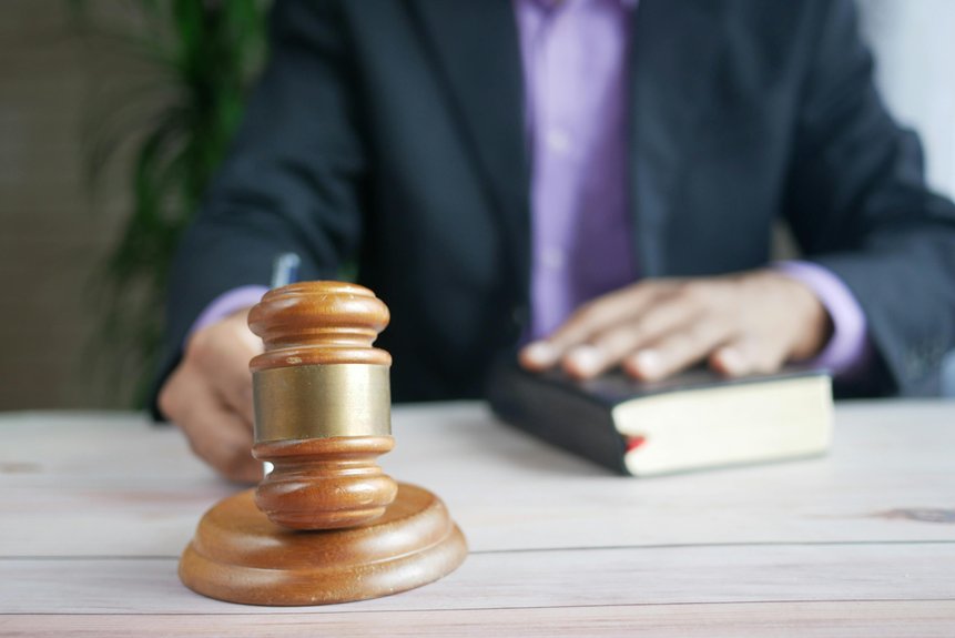 judicial review criteria considerations